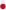 bullet